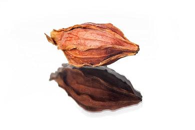 法庭冒险游戏《律师：血色浴缸》将登陆Steam